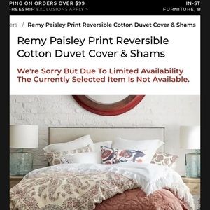 Pottery Barn Remy Paisley print Duvet Cover NWOT